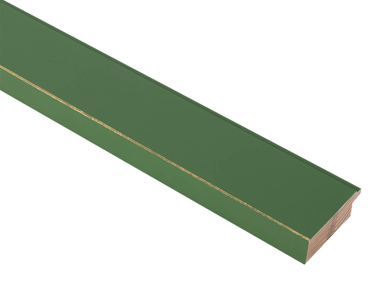 Palette Grass Green with Gold 48mm picture frame moulding