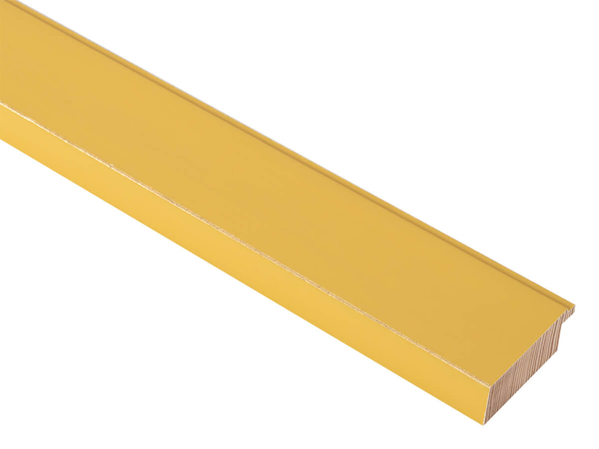 Palette Mustard Yellow with Gold 48mm picture frame moulding
